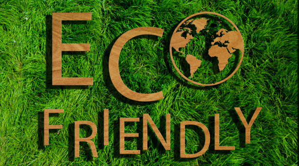 Contributing to Eco-Friendly Practices in Bangkok